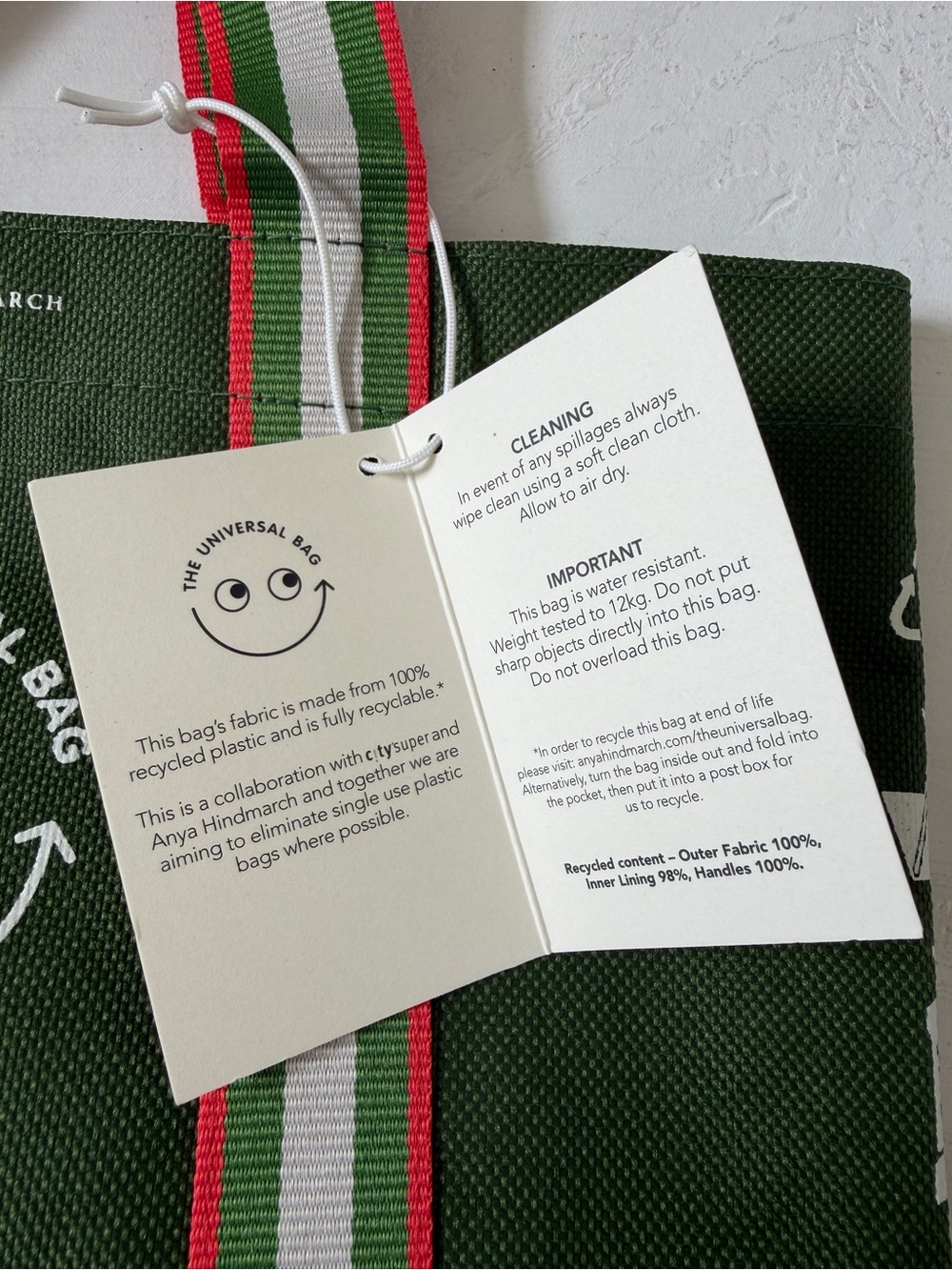Anya Hindmarch x Citysuper The Universal Bag Oliver Green Small - Picture 9 of 9